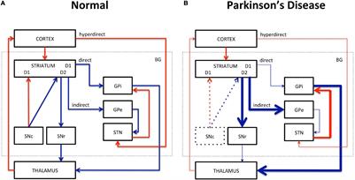 Current and Emerging MR Methods and Outcome in Rodent Models of Parkinson’s Disease: A Review